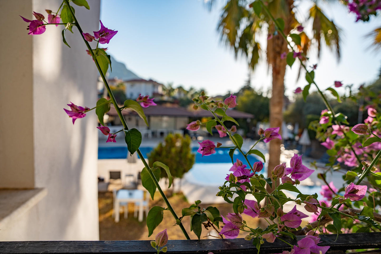 Front Facing Pool View